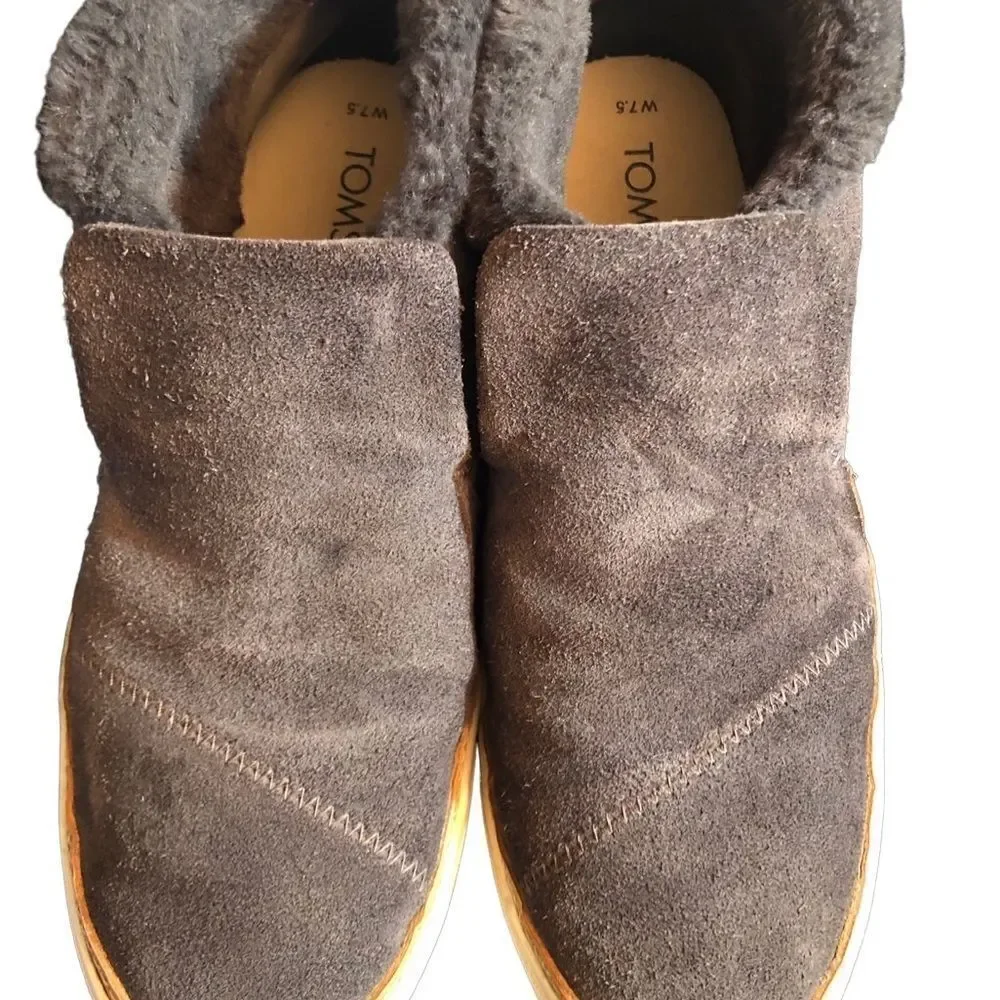 Toms womens paxton